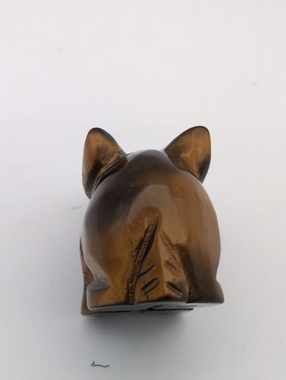 Tiger Eye Rabbit 🐇 - Picture 4 of 5